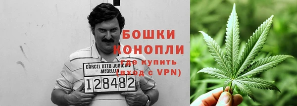 МДПВ Навашино
