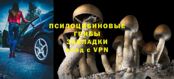 МДПВ Михайловка