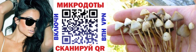 магазин продажи   Касимов  Псилоцибиновые грибы мицелий 