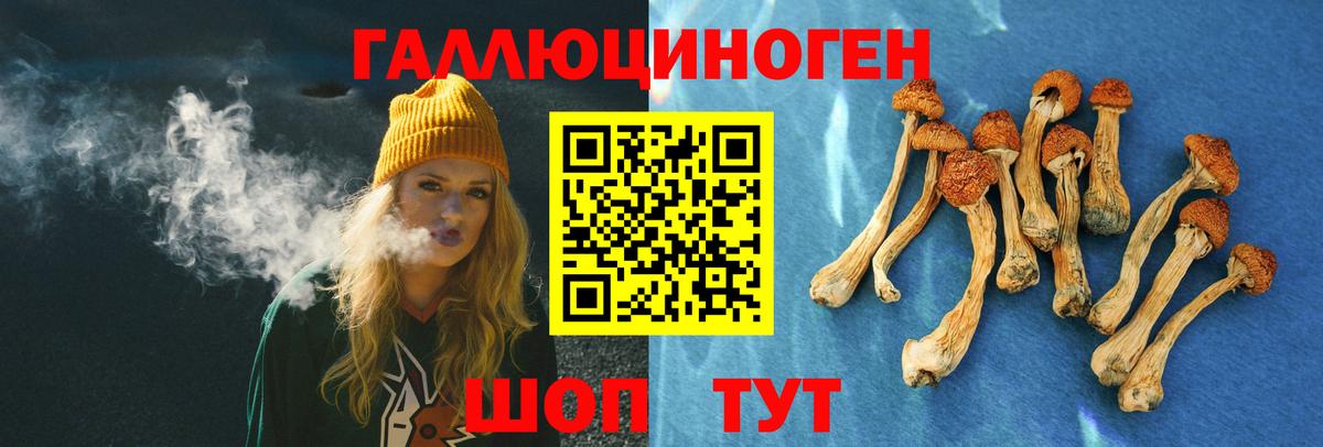 Касимов  Псилоцибиновые грибы Psilocybine cubensis  Вход с VPN  Галлюциногенные грибы Cubensis 